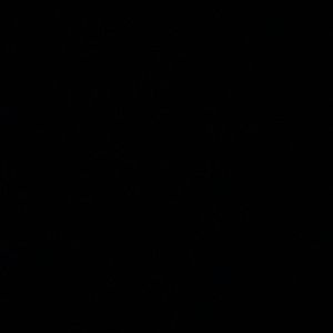 Meet your Posher, Lil